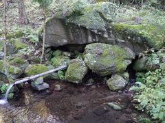 kate����̔֒򐼎R�[�N���Q�i��\���P��N���j�ւ̓��e�ʐ^1