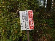 kate����̔֒򐼎R�[�N���Q�i��\���P��N���j�̓��e�ʐ^3