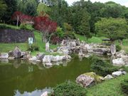 񂳂̏㍻x{뉀̓eʐ^3