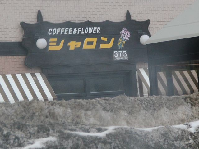 Gh̃VER[q[&t[̓eʐ^1