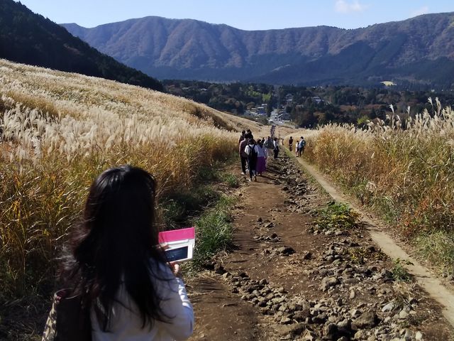 ����Ȋ����B_��Ό�����