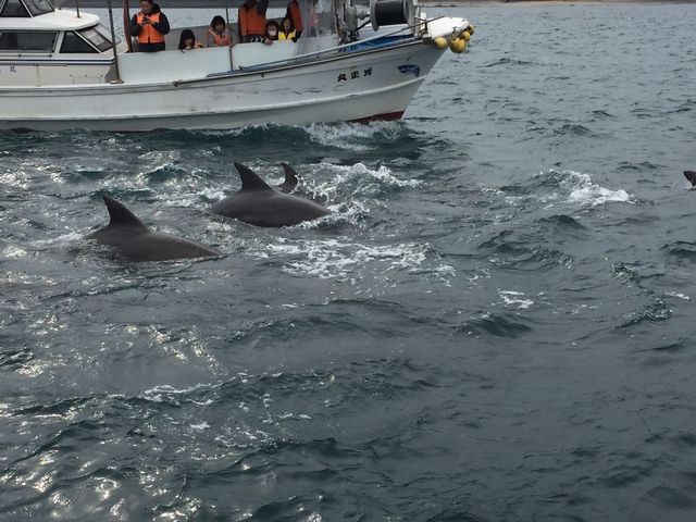 ��Ђ̈Ԉ����s�ŎB�e���܂����B_�V���ό��C���J�E�H�b�`���O �h���t�B���N���[�Y