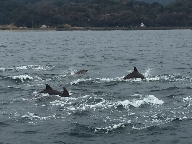 ��Ђ̈Ԉ����s�ŎB�e���܂����B_�V���ό��C���J�E�H�b�`���O �h���t�B���N���[�Y