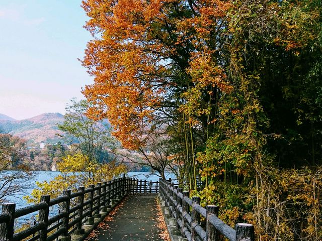 遊歩道1_赤谷湖