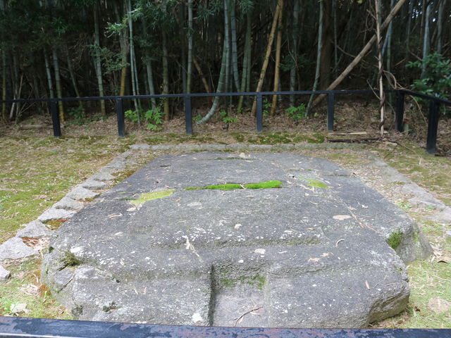 �S���_�S��ઁE�S�̐�B