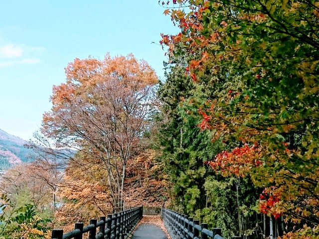 遊歩道2_赤谷湖