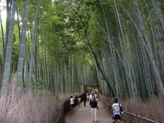 moomi̒|т̓ւ̓eʐ^1