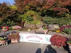 紅葉が見頃 福智山ろく花公園の口コミ じゃらんnet