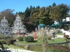 ����񂲂���̃J�t�F�E���X�g�����@���E�J���c�H�[�l�ւ̓��e�ʐ^1