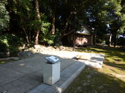 g\̎u꒼Ɠ@Ղ̓eʐ^1