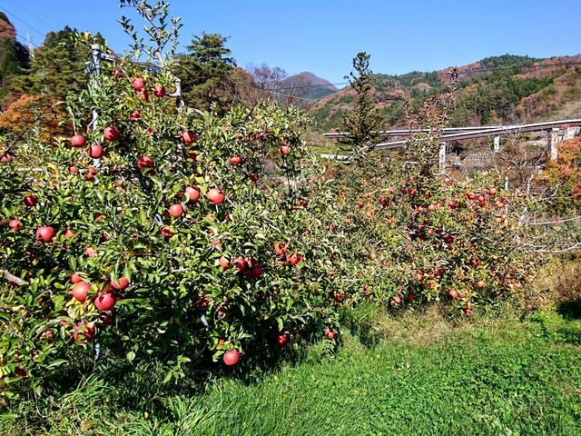 �����Ɏ����������S_���̉w �����܋�