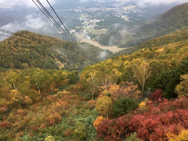 �g�t���Y��ł�����_�����}�E���e�����]�[�g