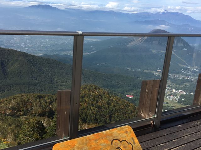 �\���e���X�B_�����}�E���e�����]�[�g