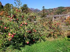 yu]cyan̓̉w ܋ւ̓eʐ^1