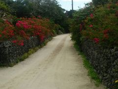 Ƃ݁[̔dRόtF[ւ̓eʐ^1