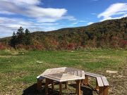 poporon̖kuꍂ̓eʐ^4