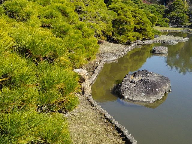 �R���g���X�g_������