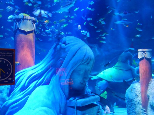 Sh{_SEA LIFE Nagoya
