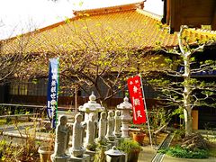 �˂�����񂳂�̑厜���ւ̓��e�ʐ^1