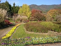 福智山ろく花公園の口コミ一覧 じゃらんnet