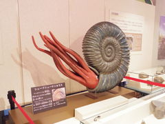 イ΃{ KEI[mia򋽓yفj̎ʐ^2