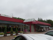 yosshy̐p[LOGA̓eʐ^1