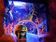 \E~TSEA LIFE Nagoya̓eʐ^1