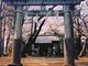 芽衣さんの日枝神社（東京都小平市）の投稿写真1