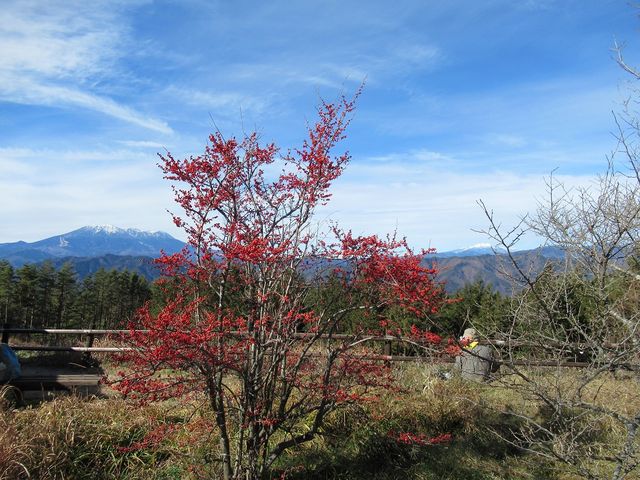 ߋT|~̃LrIW]̓eʐ^2