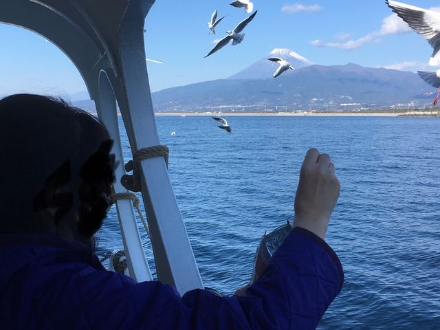 �x�m�R�����Ȃ���J�����ƋY��_���ǂ���Í`�V���N���[�Y