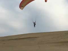 Ȃ̒捻upOC_[XN[iu{܁jւ̓eʐ^1