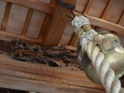 ����������񂳂�̗��ؐ_�Ё@�̓��e�ʐ^2