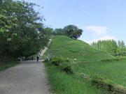 ݂񂳂̍ʌÕQEܕyL̋u̓eʐ^1