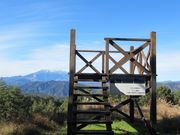 ߋT|~̃LrIW]̓eʐ^1