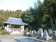 �g�����\����̏d�莛�̓��e�ʐ^1