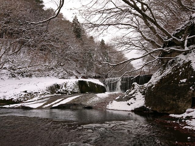 ��i�̑�ł��B_���Ñ��