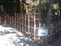 隠れた人気の撮影場所 池袋の森の口コミ じゃらんnet