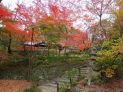 jR񂳂̏iLOق̓eʐ^1