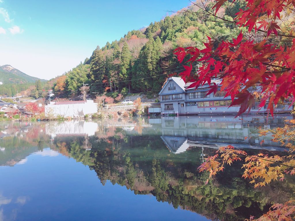 九州 秋に行きたい絶景スポットおすすめ14選 紅葉が美しい渓谷やコスモス畑など じゃらんニュース