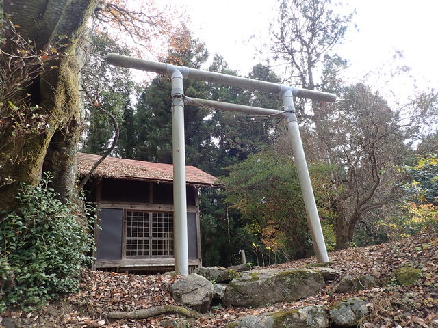 �������̌Ù���K�˂�݂�