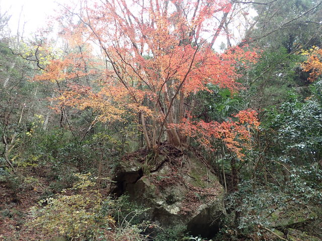 �������̌Ù���K�˂�݂�