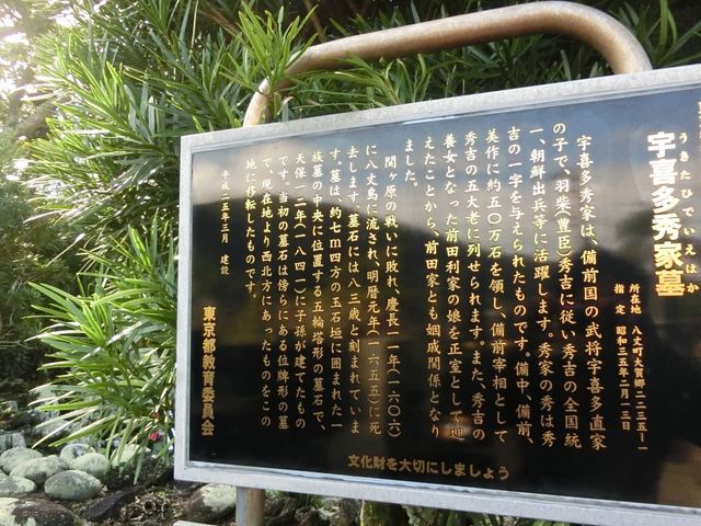 肳̉F쑽GƂ̓̕eʐ^2