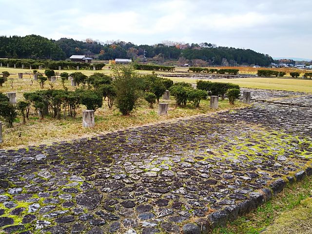 ˂񂳂̔򒹋{Ձi`򒹔W{Ձj̓eʐ^1