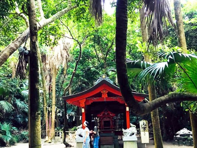 青島神社の境内神社の周りはジャングルのような亜熱帯植物が生い茂っとうとよ_青島の亜熱帯性植物群落