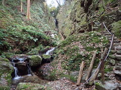 黒山三滝 アクセス 営業時間 料金情報 じゃらんnet