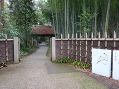 �a����̂Ƃ��H�[�J�t�F�ւ̓��e�ʐ^1