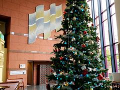 �G������̃j���[�E�F���V�e�B���͌��ւ̓��e�ʐ^1