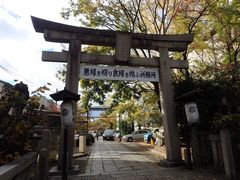 cinnamon̈䗅{ւ̓eʐ^1