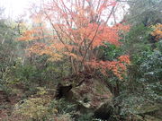 }Cann̉̌ÙK˂݂̓eʐ^1