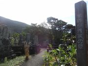 肳̉F쑽GƂ̓̕eʐ^1